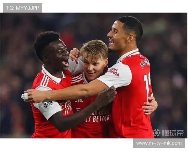 阿森纳主力伤病困扰 厄德高萨利巴等缺席比赛 阿森纳主力伤病困扰 厄德高萨利巴等缺席比赛